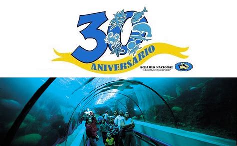 El Acuario Nacional Celebra 30 Aniversario Y Prepara Su Reapertura