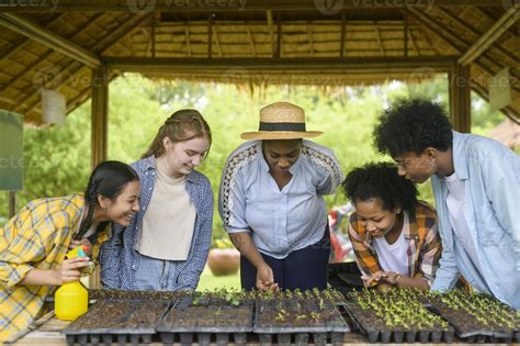 Agriculture Projects For Students 10