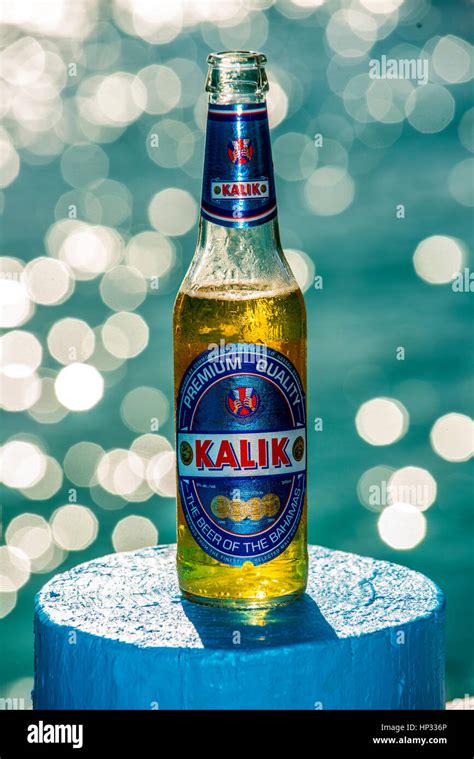 kalik beer from the Bahamas Stock Photo - Alamy