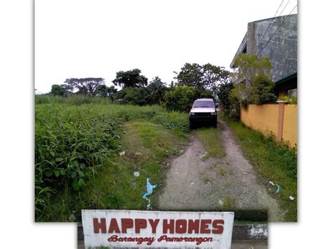 Sqm Residential Lot For Sale In Daet Camarines Norte Lots