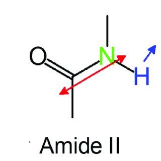 Vibrational modes of amide I, amide II, and amide III. Red arrows, C=O ...