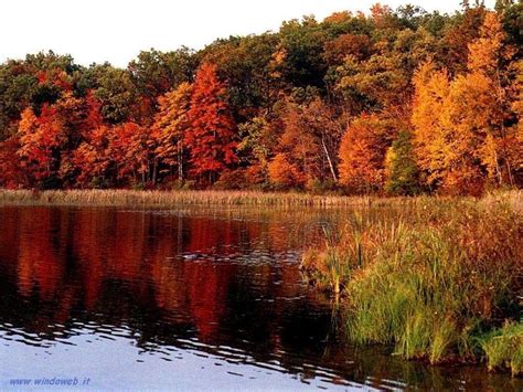 Autunno Un Tripudio Di Frutti Colorati Dalle Spettacolari Propriet