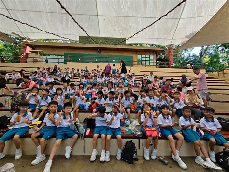 qifa primary school  qifaps instagram
