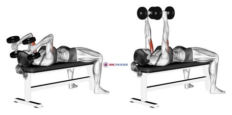 Dumbbell Seated Triceps Extension Home Gym Review