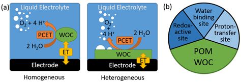 A Simplified Schematic Illustration Of The Chemical And Download