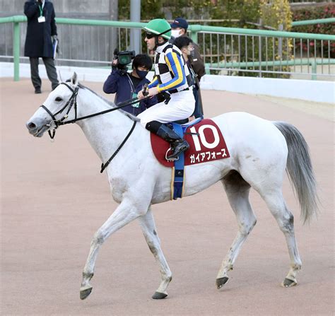 【アメリカjcc】1番人気5着のガイアフォースにクリストフ・ルメール騎手「次走はいい状態で走れるはず」 Umatoku 馬トク