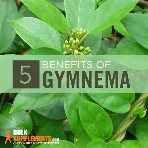 Gymnema: Benefits, Side Effects & Dosage