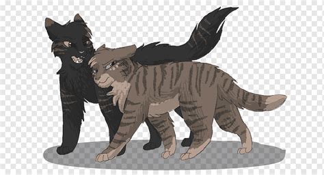 Warriors Heathertail Breezepelt Erin Hunter Lionblaze outros mamífero