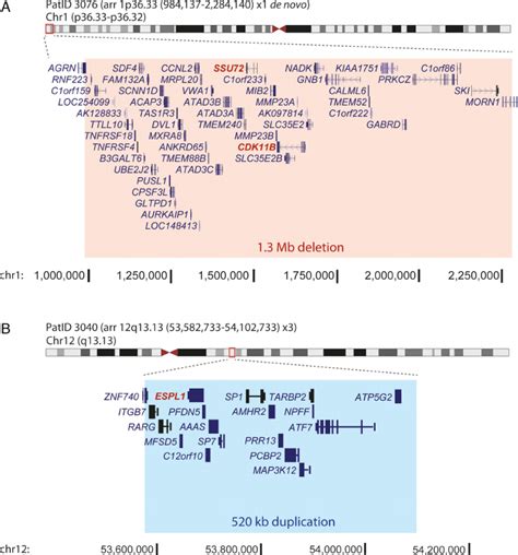 Analysis Of Genome Wide Copy Number By Array Comparative Genomic