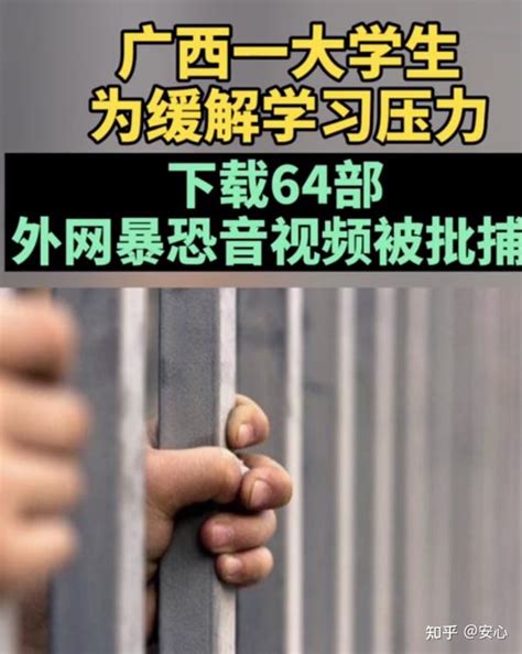 如何看待大学生看64部暴恐音视频被批捕 知乎