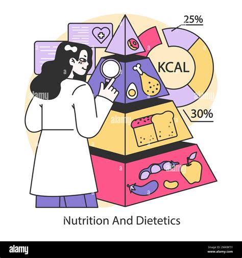 Nutrition And Dietetics Concept Dietitian Evaluates Balanced Food Pyramid Focusing On Calorie