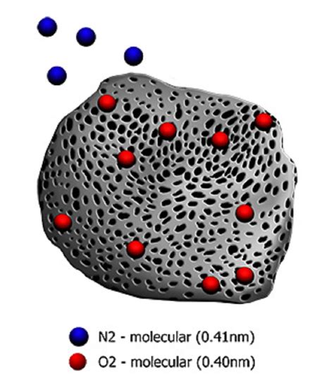 Carbon Molecular Sieve Installation Site And Its Description And