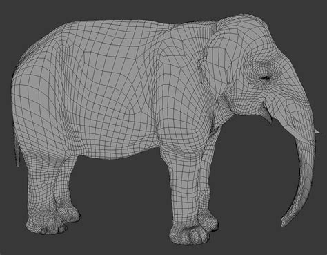 3d Animal Elephant Model Turbosquid 1685586