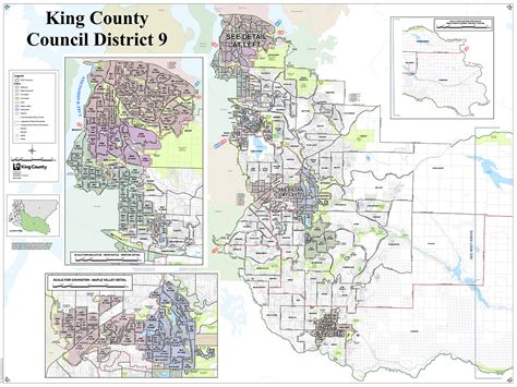 King County District 9 map - King County