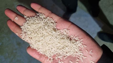 White Fortified Rice Kernels Frk Bag At Rs Kg In Katghora Id