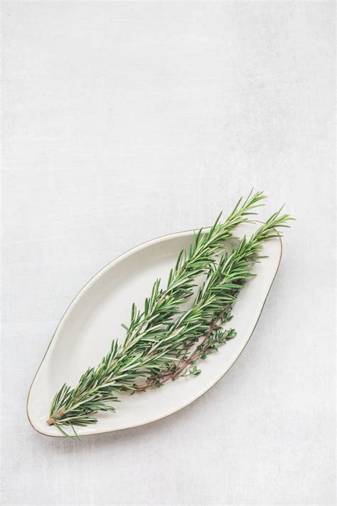 30 Rosemary Diffuser Blends To Scent Your Space | Hello Nest