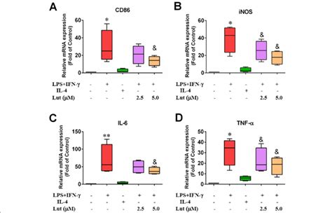 Effect Of Luteolin On The Expression Of M Type Pro Inflammatory