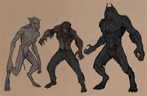 Types Of Werewolves