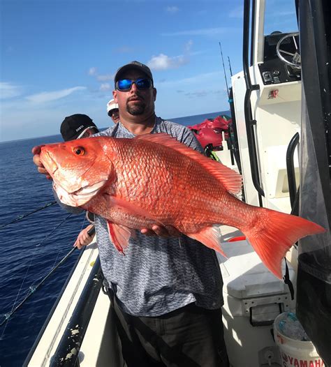Gulf of Mexico Fishing Regulations: A 2024 Update for Anglers - Fish