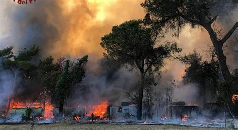 Roma Incendio Nella Pineta Di Castel Fusano Il Rogo Distrugge Un Camping