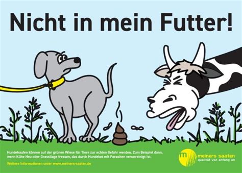 Hundekot Im Gr Nland Potentielle Gefahren Meiners Saaten De