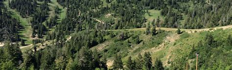 Bogus Basin Loop Trail, Idaho - 231 Reviews, Map | AllTrails