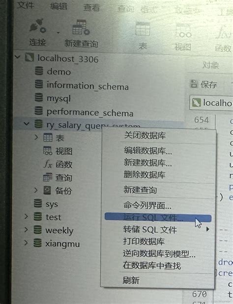 若依配置教程（一）运行若依系统 Csdn博客