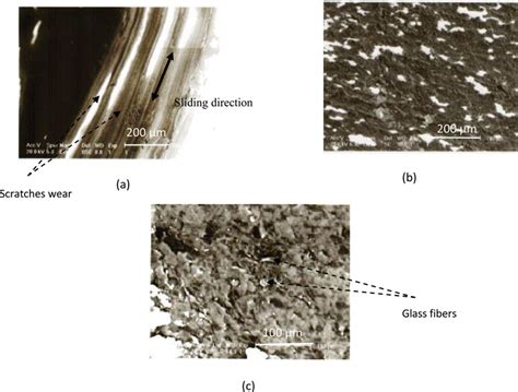 Scanning Electron Microscope Images Of Worn Surfaces Of Pure Ptfe And