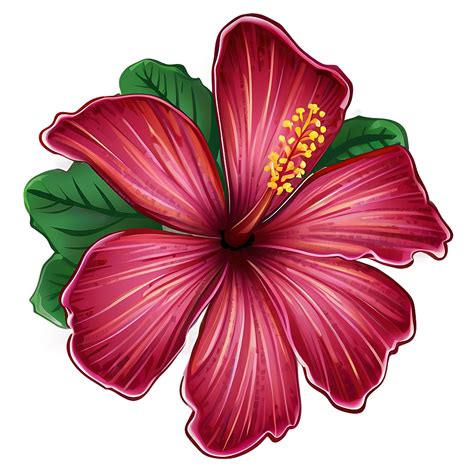 Hibiscus Png Png Images 300