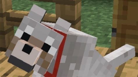 Petition · Add dog armor in Minecraft · Change.org