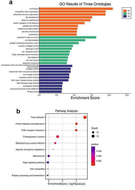 Figure 2 From Comparative Transcriptome Analysis Identifies Desmoglein