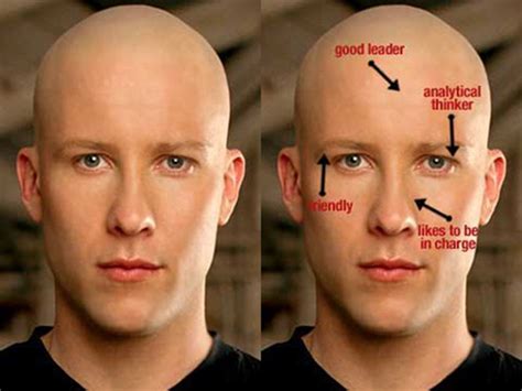 Physiognomy Face Reading Chinese Face Reading Learn To Read