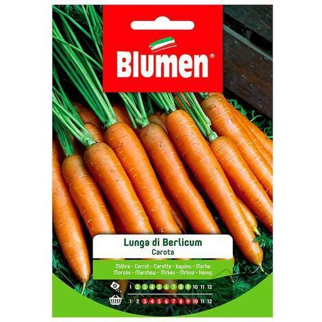 Graines De Carotte Longue Berlicum En Sachet