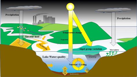 Conceptual Diagram Of The Lake Water Quality Affected By The Basin