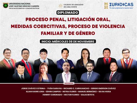 081123 PROCESO PENAL LITIGACIÓN ORAL MEDIDAS COERCITIVAS PROCESO