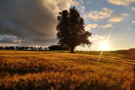 Have you met County Laois? | Ireland.com