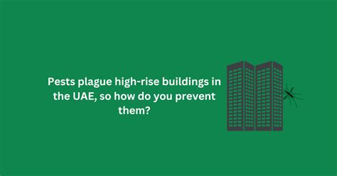 Pests Plague High Rise Buildings In The Uae So How Do You Prevent Them Pestokill Pest Control