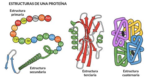 Proteinas Biogeo Lomloe