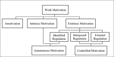 A Visual Representation Of The Self Determination Theory Of Work