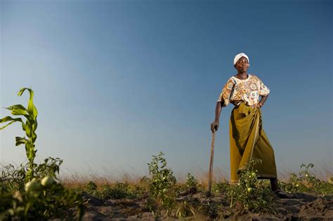 Women Farmers Helping To Bring Peace In Kenya The Borgen Project