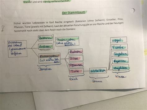 Bio Evolution Karteikarten Quizlet