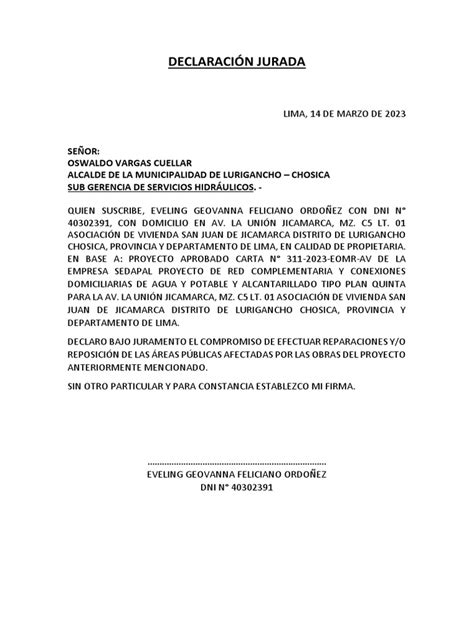 DeclaraciÓn Jurada De La Empresa Pdf