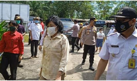 Calon Kades Petahana Tumbang Di Pilkades Pulang Pisau Kalteng Today