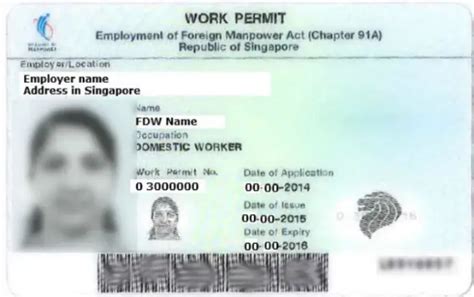 How To Apply For A Work Permit In Singapore Application Process Requirements And Considerations