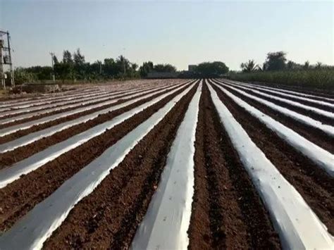 Vihaan Plastic Biodegradable Mulch Film For Agriculture Up To 6 Feet