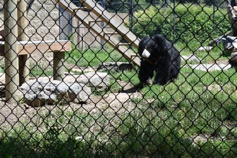 Idaho Falls Zoo - Utah's Adventure Family