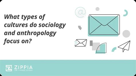 What types of cultures do sociology and anthropology focus on? - Zippia