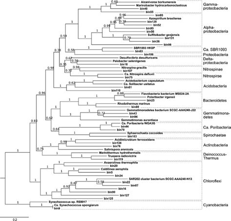 Metagenomic Binning Of A Marine Sponge Microbiome Reveals Unity In