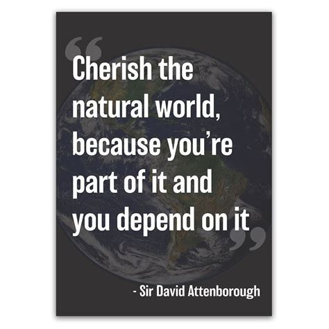 Cherish The Natural World Because You Re Part Of It And You Depend On