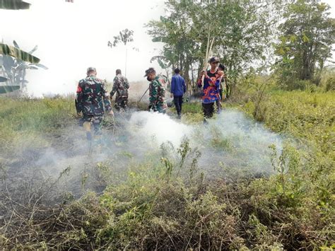 Tim Gabungan HST Berjibaku Padamkan Karhutla Di Desa Panggang Marak